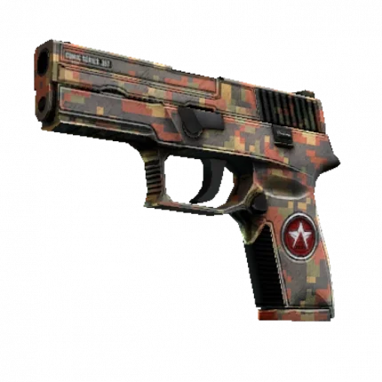 P250 | Red Rock (Minimal Wear)