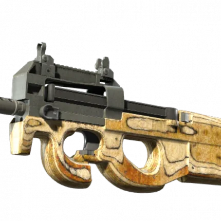 P90 | Shapewood (Well-Worn)
