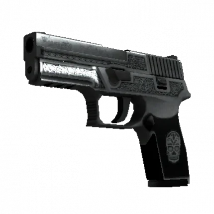 StatTrak™ P250 | Cartel (Well-Worn)