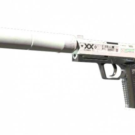 StatTrak™ USP-S | Printstream (Well-Worn)