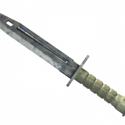 ★ Bayonet | Stained (Well-Worn)
