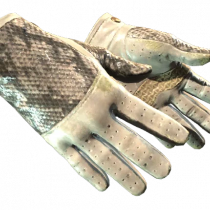 ★ Driver Gloves | King Snake (Field-Tested)