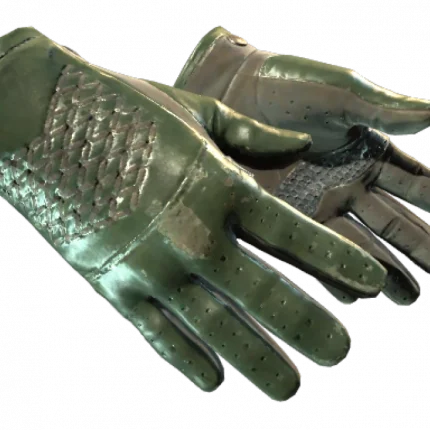 ★ Driver Gloves | Racing Green (Well-Worn)