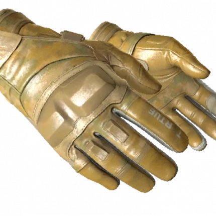 ★ Moto Gloves | Transport (Minimal Wear)