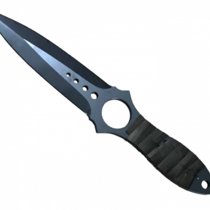 ★ Skeleton Knife | Blue Steel (Well-Worn)