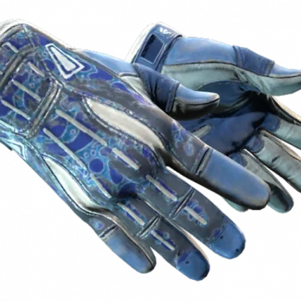 ★ Sport Gloves | Amphibious (Battle-Scarred)