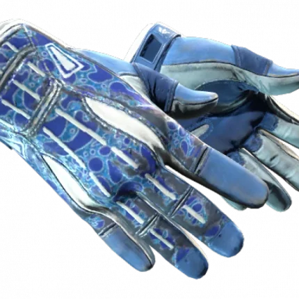 ★ Sport Gloves | Amphibious (Field-Tested)