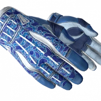★ Sport Gloves | Amphibious (Minimal Wear)