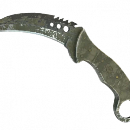 ★ Talon Knife | Safari Mesh (Battle-Scarred)