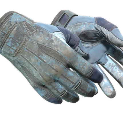 ★ Sport Gloves | Frosty (Battle-Scarred)