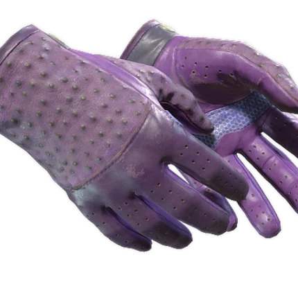 ★ Driver Gloves | Plum Quill (Field-Tested)
